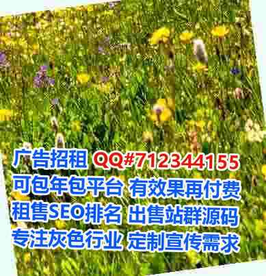 港口代妈光电事务所